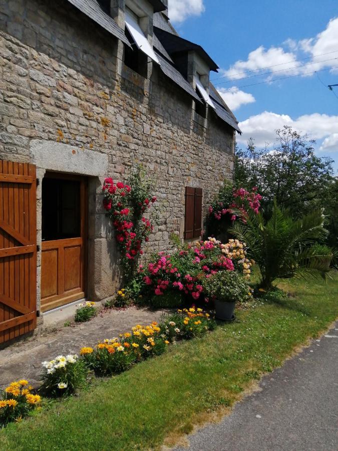 ケルヴィニャック La Grange Bed & Breakfast エクステリア 写真